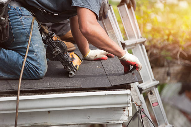 Best Roof Gutter Cleaning  in Dublin, GA