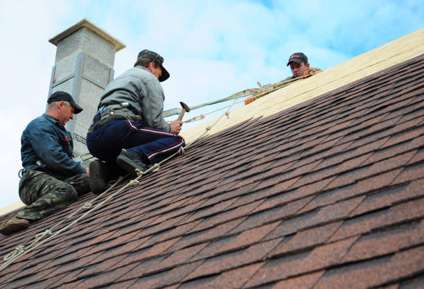 Best Residential Roofing Contractor  in Dublin, GA