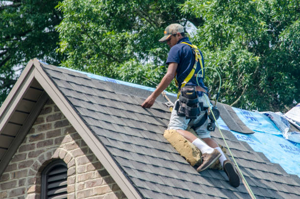 Best Shingle Roofing Installation  in Dublin, GA